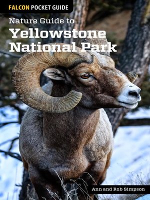 cover image of Nature Guide to Yellowstone National Park